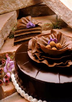 Decadent chocolate cake