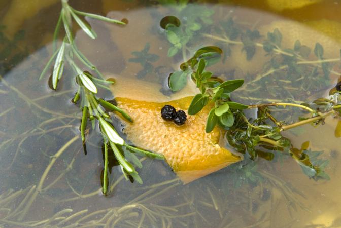 Turkey soaking in brine
