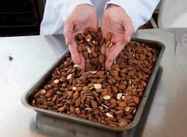roasted almonds