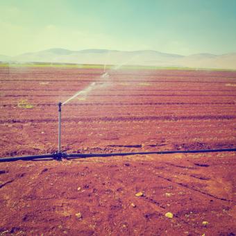 Irrigating bare field