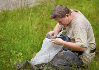 Biologist working the field