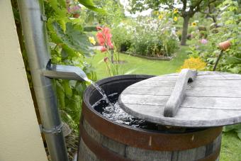 Rain barrel