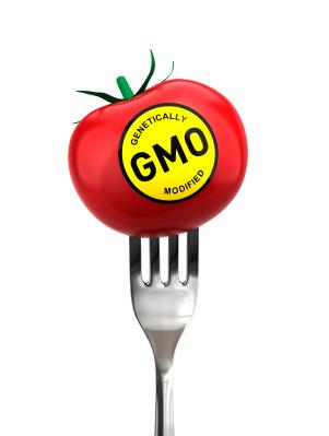 GMO labeled tomato