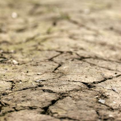 drought stricken land