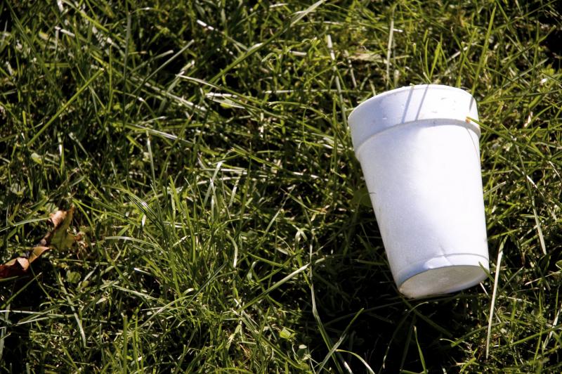 How Styrofoam is Bad for the Environment LoveToKnow