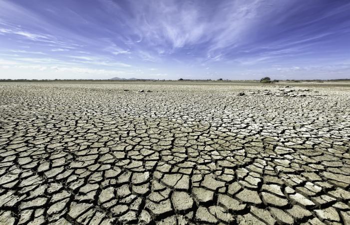 parched soil