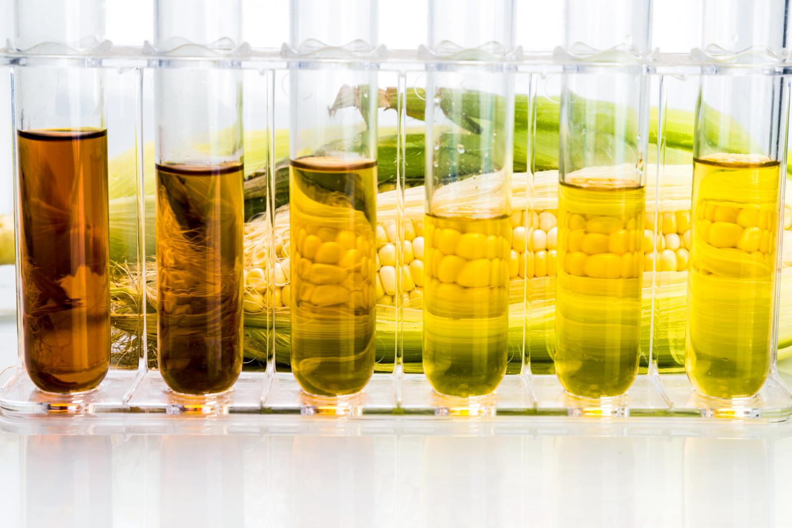 Corn derived ethanol biofuel with test tubes