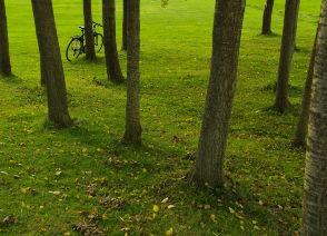 Simple Ways to Save the Environment