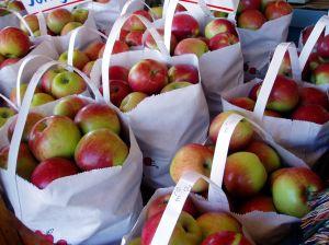 Recycling grocery bags has many benefits.
