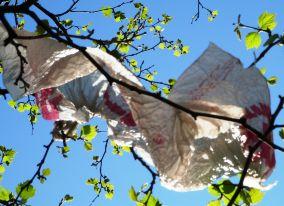 An environmentally friendly alternative?