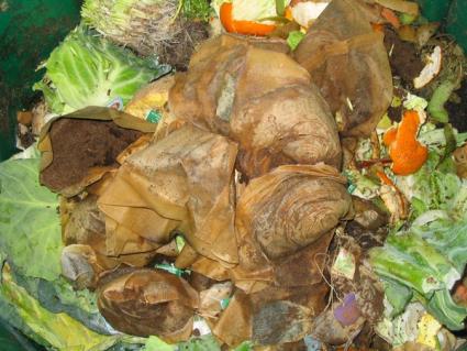 Compost Pile