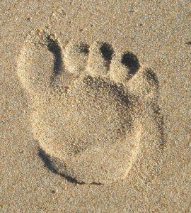 Footprint.jpg