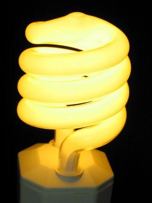 Energy Star Light Bulb