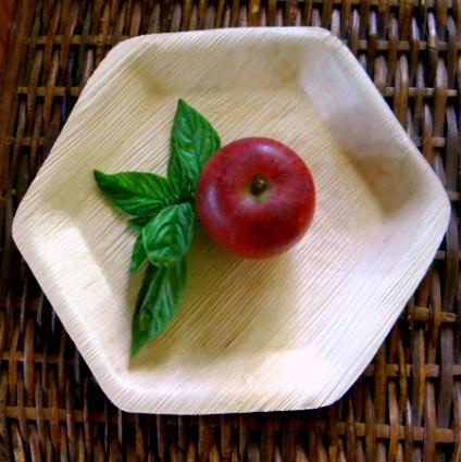 Palm leaf plate