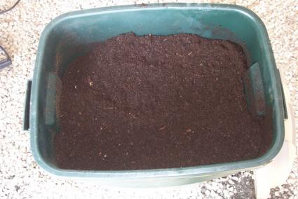 Sieved Compost