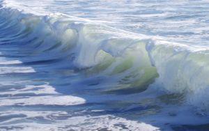 Waves can be harnessed to produce energy