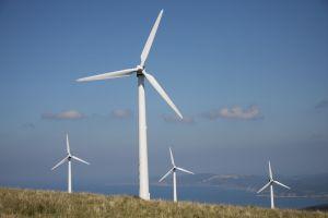 Wind energy information Clearance