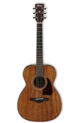 Ibanez guitar