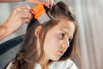 Mother using a comb to look for head lice