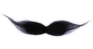 Gallery Of Mustache Styles Lovetoknow
