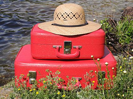 going to grandma's suitcase