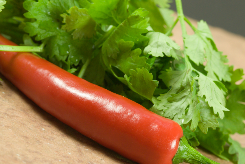 iStock_Cilantro.jpg