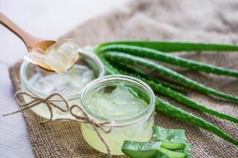 Making Aloe vera Gel