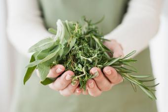 Woman holding herbs