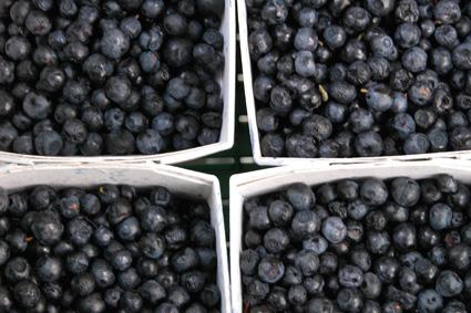 Fresh Bilberries