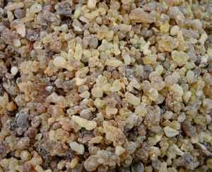 Frankincense tears