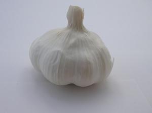 garlic bulb