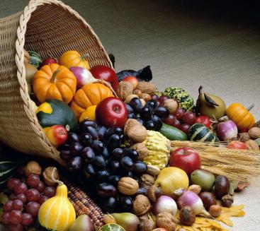 phytosterols