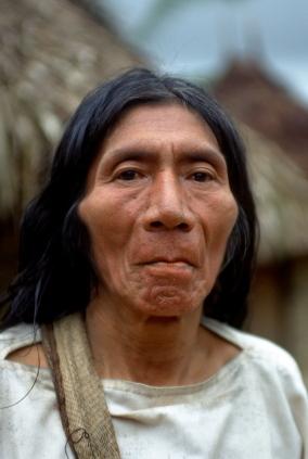 native american remedies