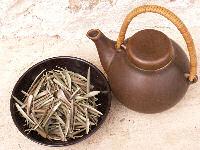 Olive leaf extract