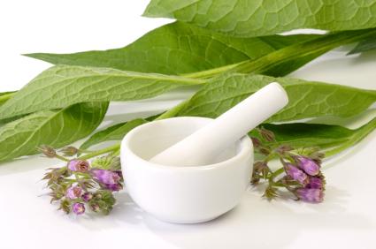 comfrey leaves with mortar and pestle