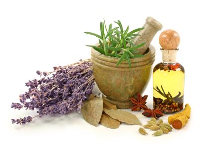 Herbs can keep bugs at bay