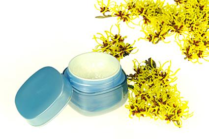 Witch Hazel