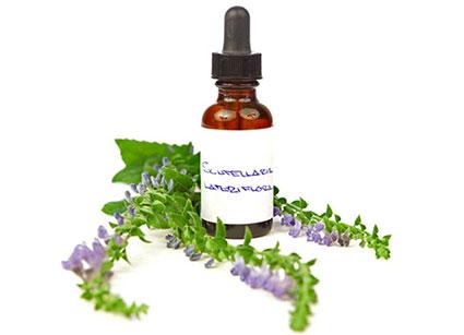 Skull cap tincture