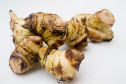 Galangal root