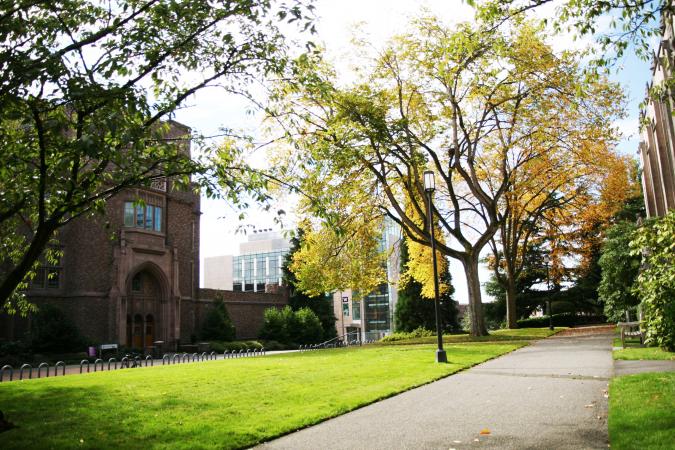 School in the autumn