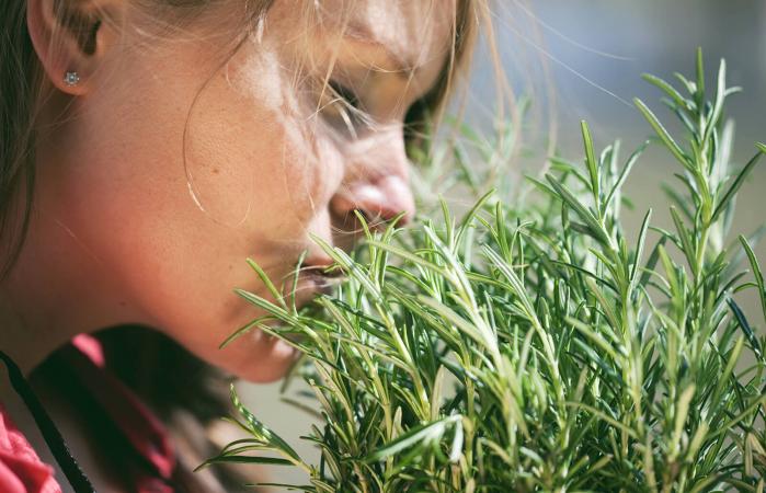 Woman smelling fresh rosemary