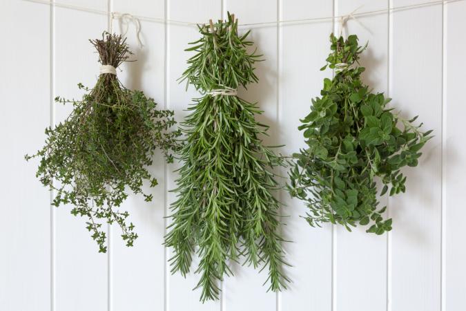 Thyme, rosemary and oregano hanging to make dried herbs