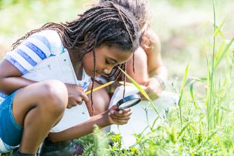 Kids Looking For Bugs