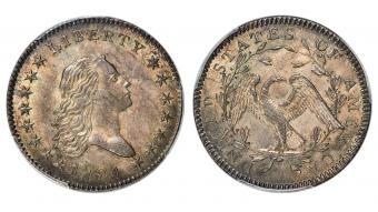 1794 Flowing Hair Half Dollar