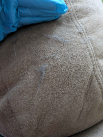 Carrie's couch before