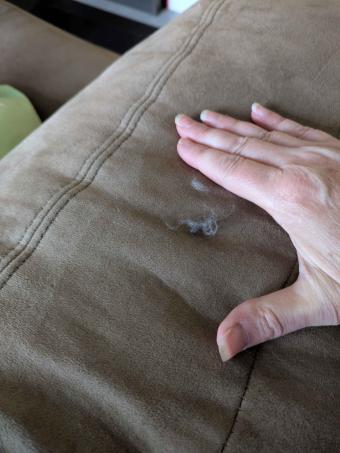 Carrie's couch after