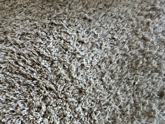 Kate's carpet after