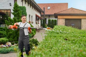 https://cf.ltkcdn.net/home/cleaning/images/slide/360974-850x567-trimming-hedges_2079784744.jpg