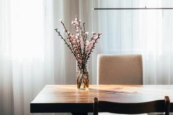 Almond Blossom Twigs in a Vase