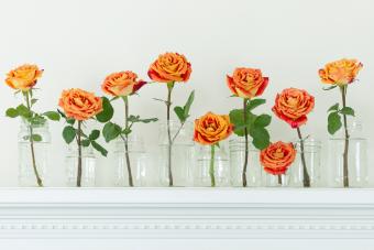 https://cf.ltkcdn.net/home/design-decor/images/slide/341960-850x567-orange-roses-in-jars-1473279626.jpg